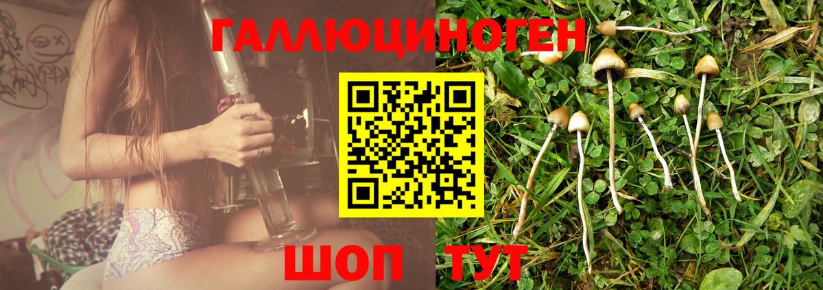 Галлюциногенные грибы Psilocybine cubensis  Вход с VPN  Псилоцибиновые грибы Magic Shrooms  цена   Вышний Волочёк 