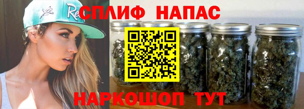 Конопля гибрид Вышний Волочёк
